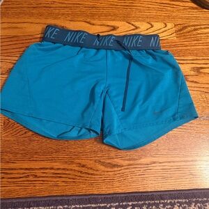 Nike Women's Blue Athletic Shorts
